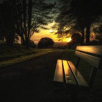 Buy canvas prints of Sunset at Ravenhill Park by Leighton Collins