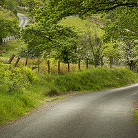 Buy canvas prints of A winding Welsh country road by Leighton Collins