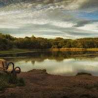 Buy canvas prints of The lower lake at Penllergare woods by Leighton Collins