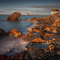 Buy canvas prints of Dusk at Knab rock in Mumbles by Leighton Collins