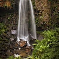 Buy canvas prints of Waterfall and ferns at Melincourt by Leighton Collins