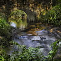 Buy canvas prints of Bridge over the Afon Llan river by Leighton Collins