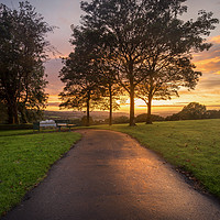 Buy canvas prints of A path at dusk in Ravenhill park by Leighton Collins
