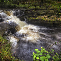 Buy canvas prints of River Neath in Waterfall Country by Leighton Collins
