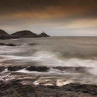 Buy canvas prints of The dog on Bracelet Bay by Leighton Collins