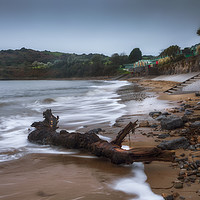 Buy canvas prints of Driftwood at Langland Bay by Leighton Collins