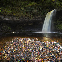Buy canvas prints of Sgwd Gwladus waterfall after the rain by Leighton Collins