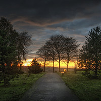Buy canvas prints of Evening at Ravenhill park by Leighton Collins