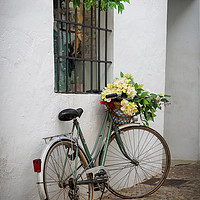 Buy canvas prints of A bicycle in a back street by Leighton Collins