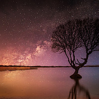 Buy canvas prints of Kenfig Tree by starlight by Leighton Collins