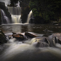 Buy canvas prints of A misty day at the waterfall in Penllergare Valley by Leighton Collins