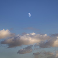 Buy canvas prints of Half moon and clouds by Leighton Collins