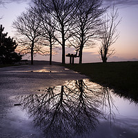 Buy canvas prints of Dusk at Ravenhill park by Leighton Collins