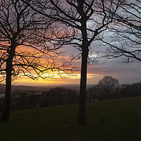 Buy canvas prints of Winter trees and a sunset by Leighton Collins