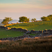 Buy canvas prints of Brecon Beacons dry stone walls by Leighton Collins