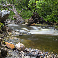 Buy canvas prints of The rocky river Twrch by Leighton Collins