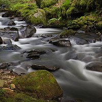 Buy canvas prints of Melincourt Brook in Resolven by Leighton Collins