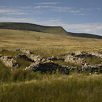 Buy canvas prints of Farmhouse ruins and Moel Feity by Leighton Collins