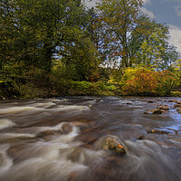 Buy canvas prints of Autumn on the river Tawe by Leighton Collins
