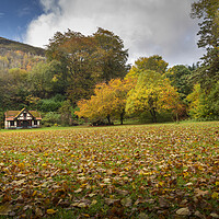 Buy canvas prints of Autumn at Craig-y-Nos Country park  by Leighton Collins