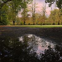 Buy canvas prints of Autumn reflections in a field by Leighton Collins