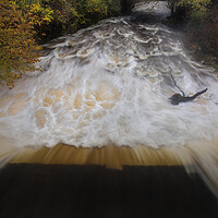 Buy canvas prints of The river Twrch in Ystalyfera by Leighton Collins