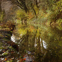Buy canvas prints of The Clydach to Pontardawe canal by Leighton Collins