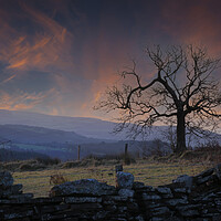 Buy canvas prints of Morning on the Gwrhyd mountain by Leighton Collins