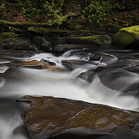 Buy canvas prints of Moss covered rocks on The Upper Clydach River by Leighton Collins