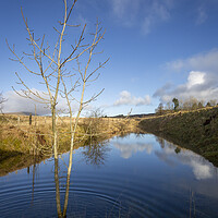 Buy canvas prints of Flooded gully at Penwyllt by Leighton Collins