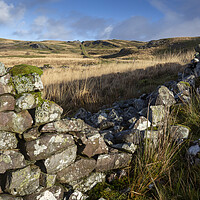 Buy canvas prints of Old dry stone wall at Penwyllt by Leighton Collins