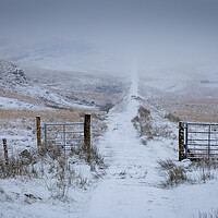 Buy canvas prints of The path into the snow cloud by Leighton Collins