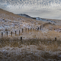 Buy canvas prints of Snow capped posts in Penwyllt by Leighton Collins