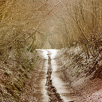 Buy canvas prints of A country road in Winter by Leighton Collins