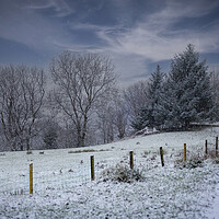 Buy canvas prints of Snow covered trees in Winter by Leighton Collins