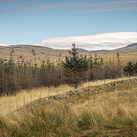 Buy canvas prints of The Brecon Beacons by Leighton Collins