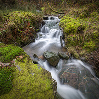 Buy canvas prints of A mountain stream by Leighton Collins