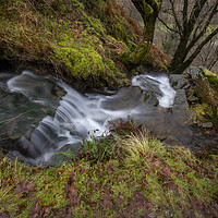 Buy canvas prints of A mountain watercourse by Leighton Collins