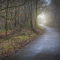 Buy canvas prints of A country lane by Leighton Collins
