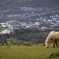 Buy canvas prints of The village of Clydach by Leighton Collins