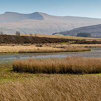Buy canvas prints of Penyfan and Corn Du by Leighton Collins