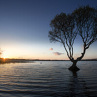 Buy canvas prints of Sunset at Kenfig pool by Leighton Collins