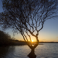Buy canvas prints of Kenfig pool sunset by Leighton Collins
