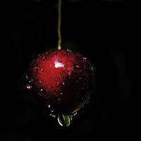 Buy canvas prints of cherry by paul neville