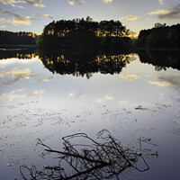 Buy canvas prints of Lanark Loch Sunset water and branch by Les McLuckie