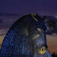 Buy canvas prints of The Kelpies Blue lights by Les McLuckie