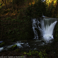 Buy canvas prints of Alva Glen Waterfall Stirling Scotland by Les McLuckie
