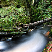 Buy canvas prints of Enchanting Devils Pulpit by Les McLuckie
