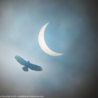 Buy canvas prints of Majestic Buzzard Soaring through the Eclipse by Les McLuckie