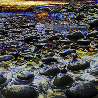 Buy canvas prints of Purple Pebbles by Pete Moyes